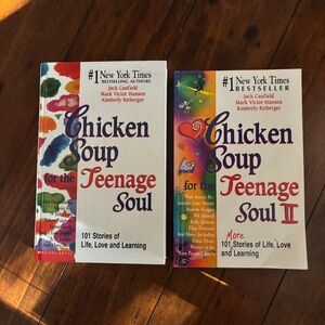2 Chicken Soup for The Teenage Soul Books.